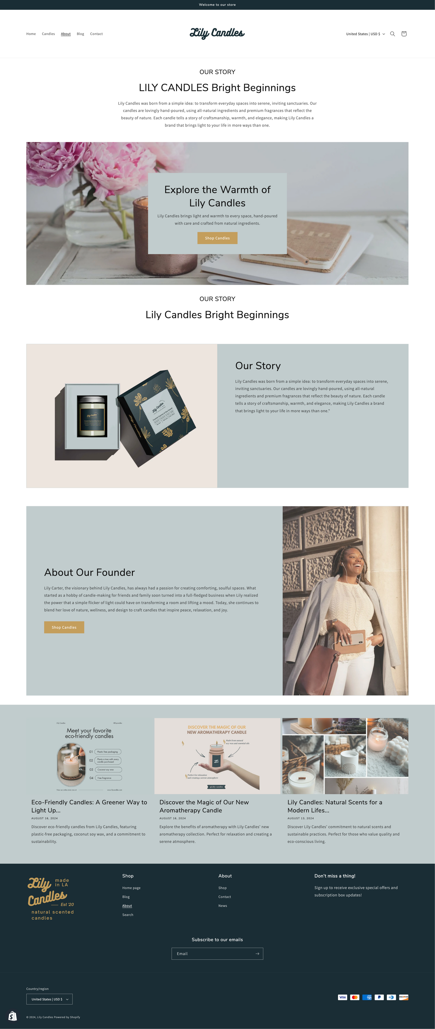 Shopify Website Design